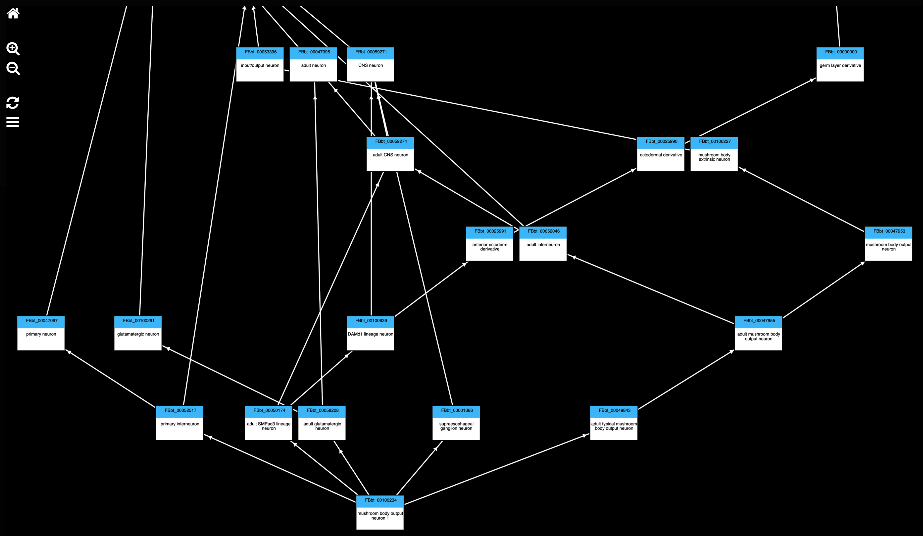 Term Context tab showing classification of MBON01.
